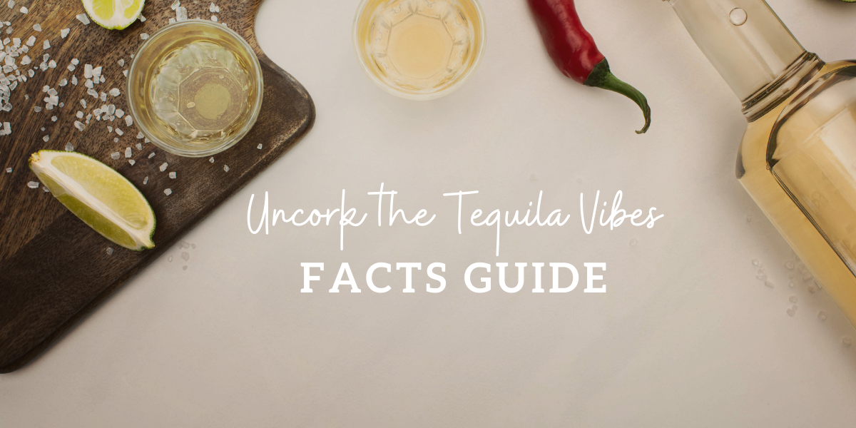  MY MINI BAR tequila facts brands and types lagos nigeria